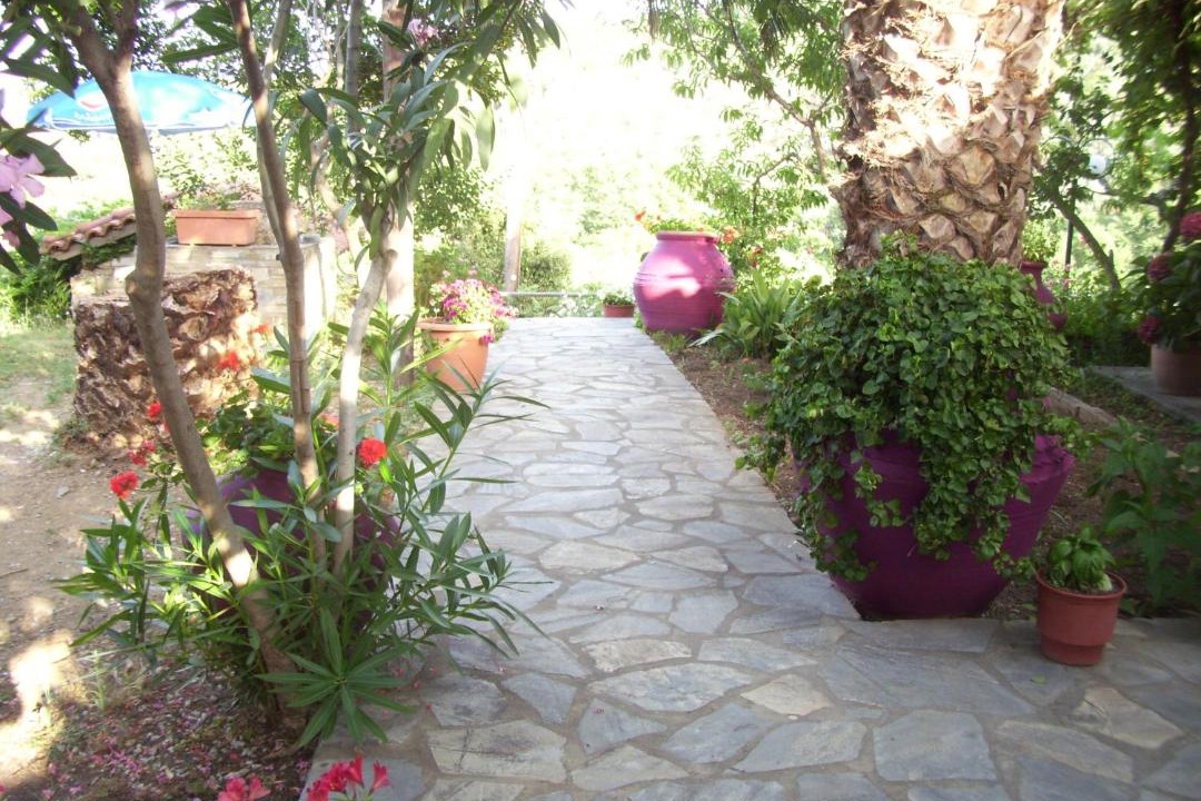 Photo of Others in Kato Vrontou