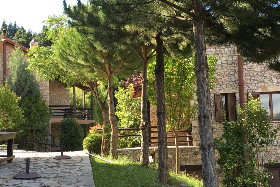 Photo of Others in Kalavrita