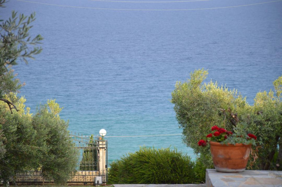 Photo of Others in Pangaio