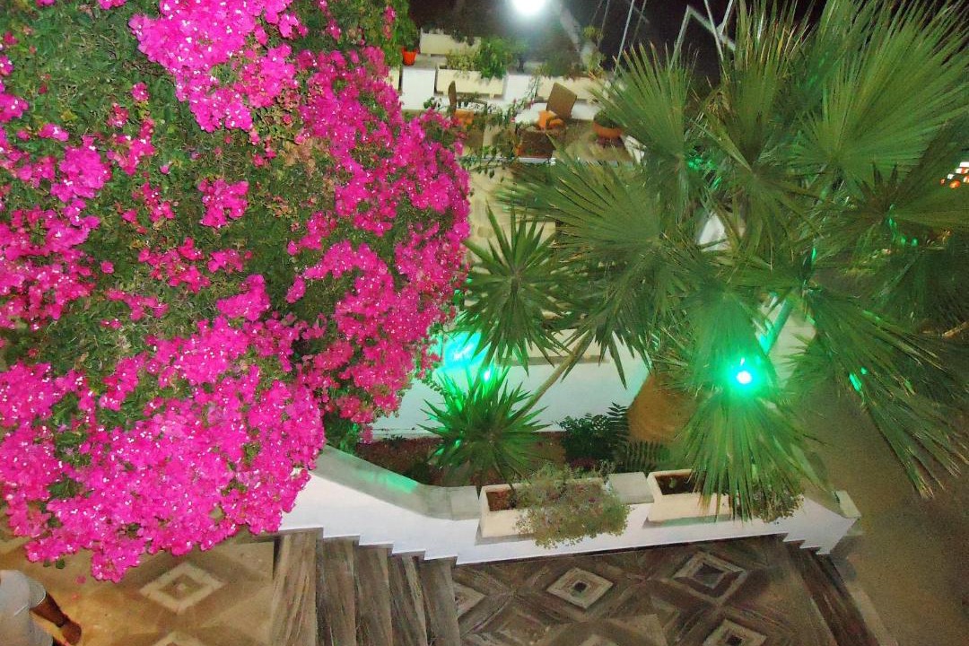 Photo of Others in Agia Marina