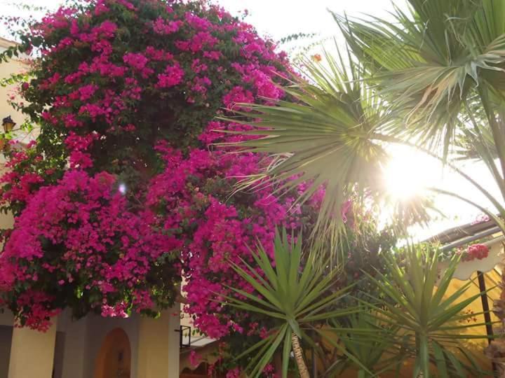 Photo of Others in Agia Marina
