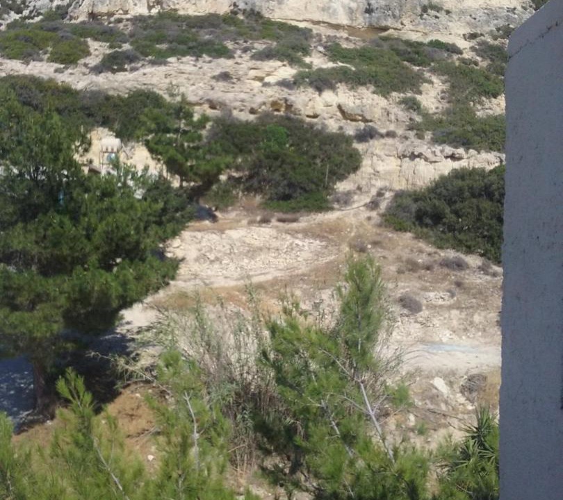 Photo of Others in Matala