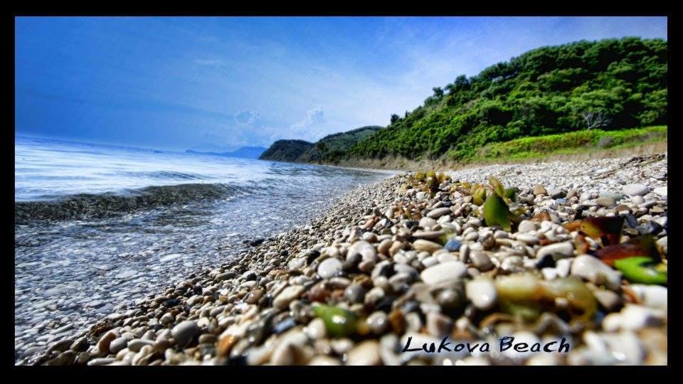 Photo of Others in Lukove