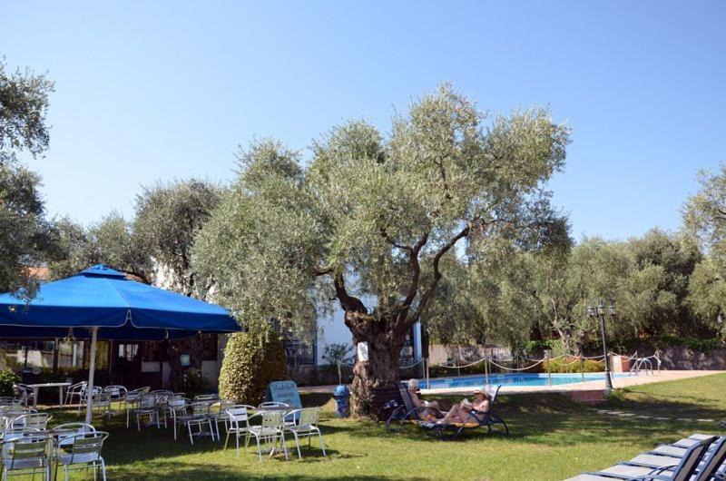 Photo of Others in Thasos Town