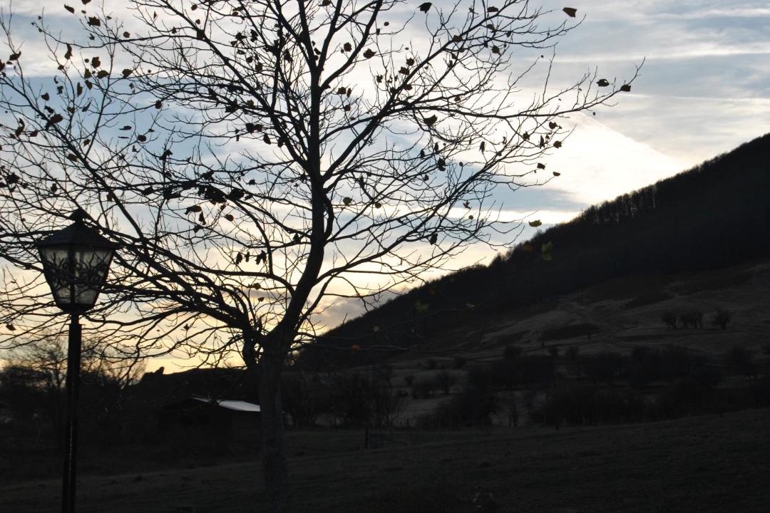 Photo of Others in Nymfaio