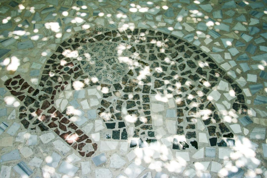 Photo of Others in Livadia