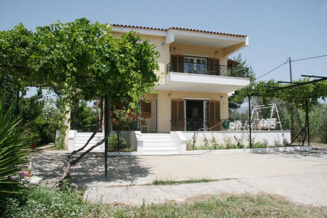 Photo of Others in Amarinthos