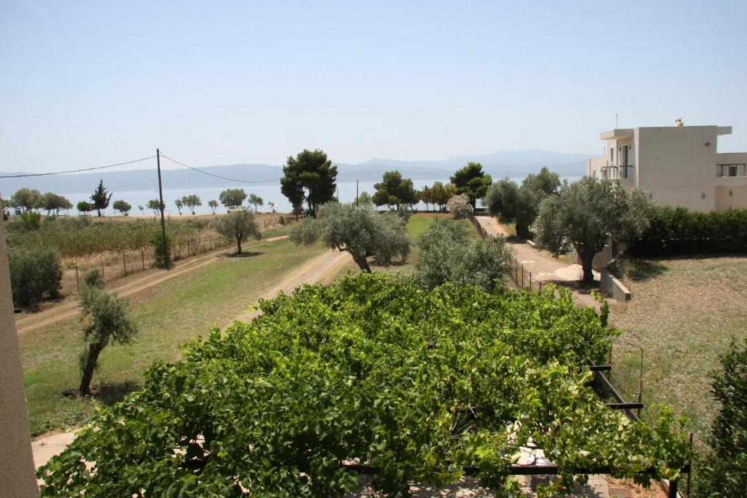 Photo of Others in Amarinthos