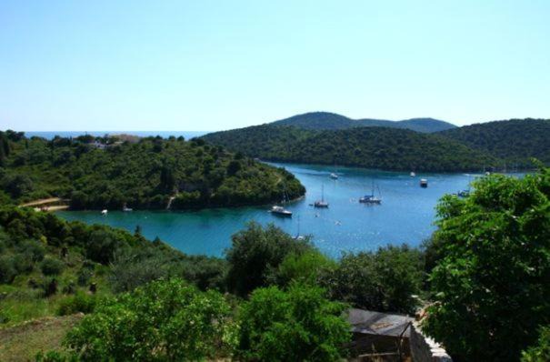 Photo of Others in Sivota