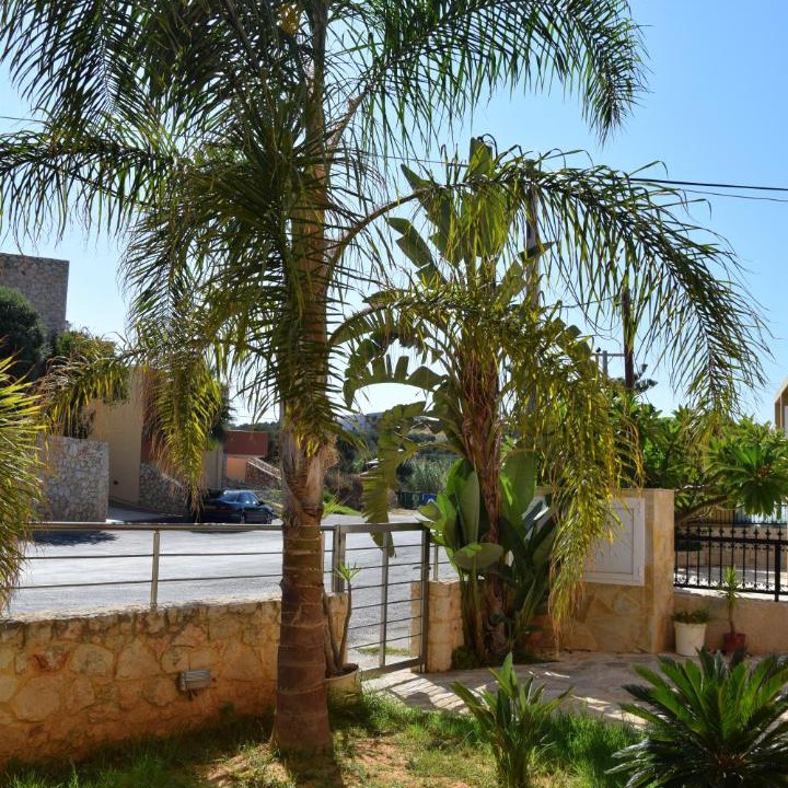 Photo of Others in Kato Stalos