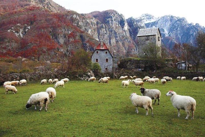 Photo of Others in Theth
