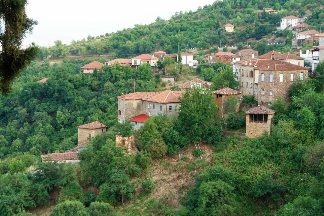Photo of Others in Ithomi