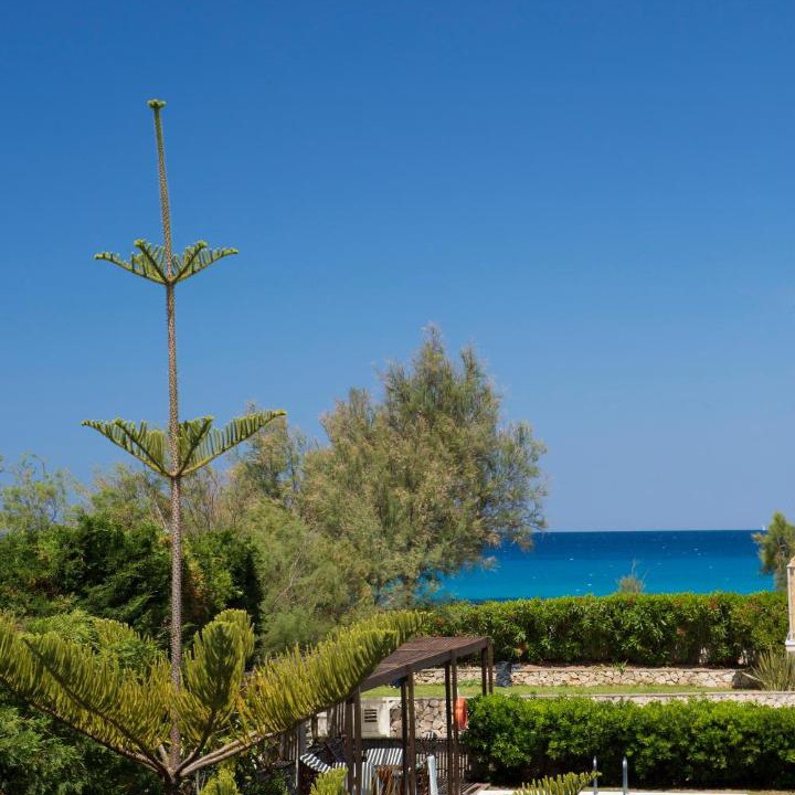 Photo of Others in Agios Ioannis