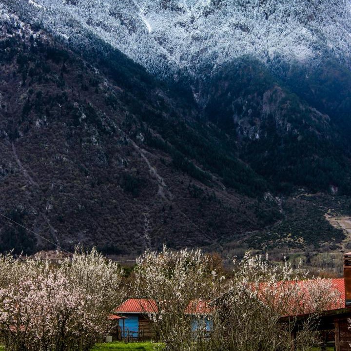 Photo of Others in Konitsa