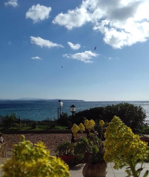 Photo of Others in Agia Ermioni