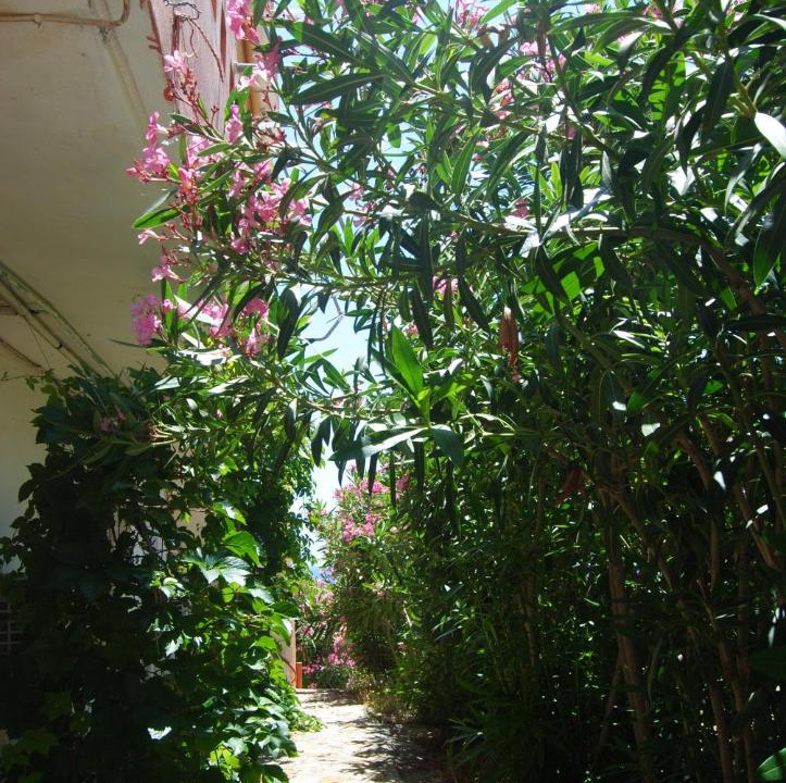 Photo of Others in Agia Ermioni