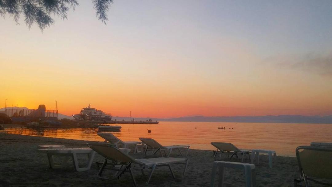Photo of Others in Skala Prinou