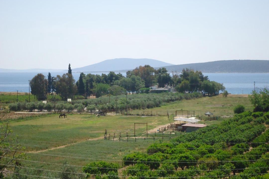 Photo of Others in Drepano