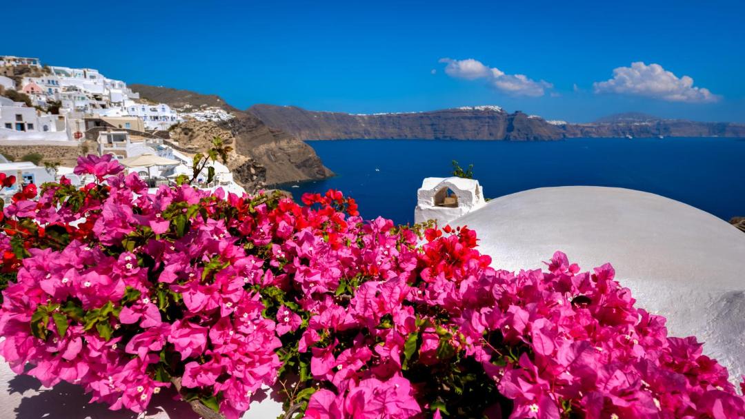 Photo of Others in Oia
