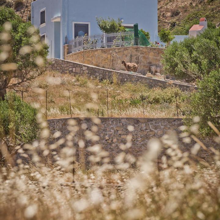 Photo of Others in Karpathos Town