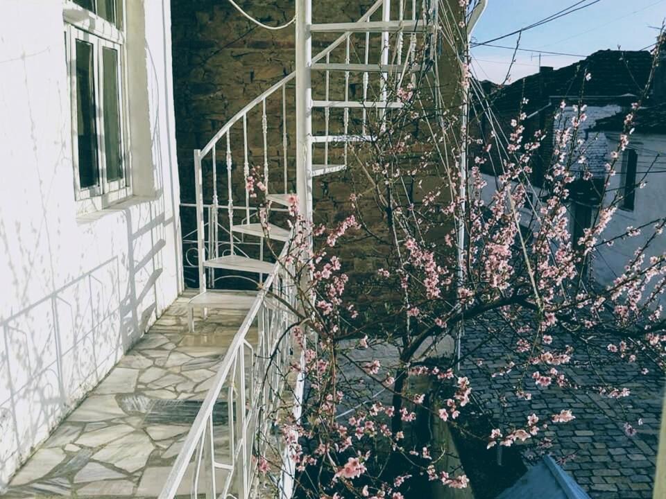 Photo of Others in Korce