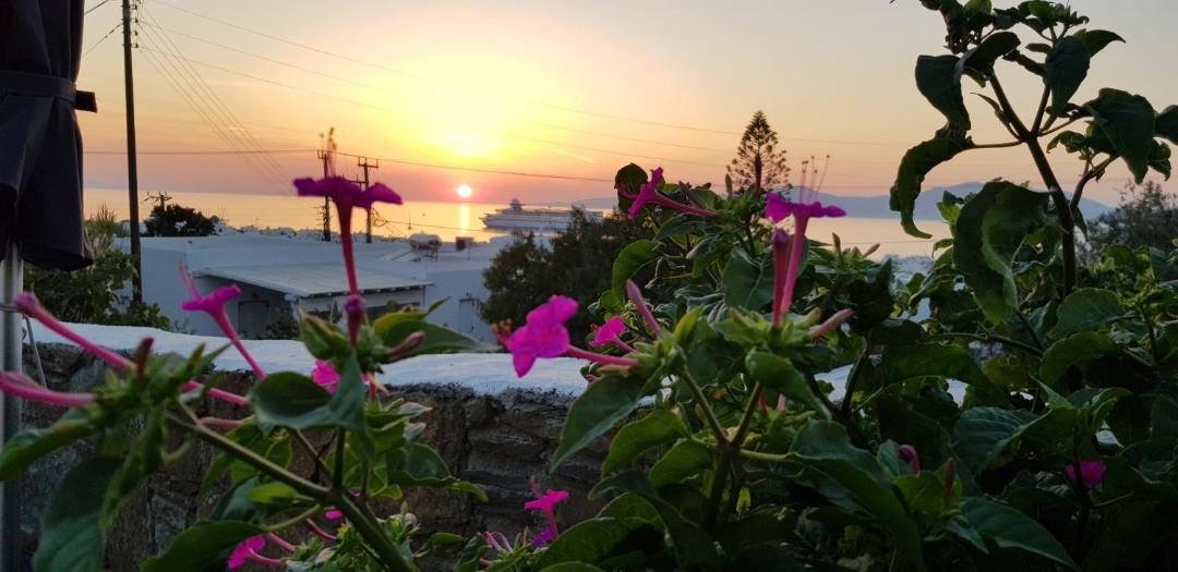 Photo of Others in Mykonos Town