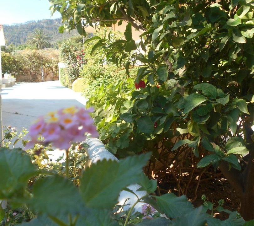 Photo of Others in Ialyssos