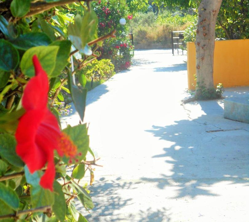 Photo of Others in Ialyssos