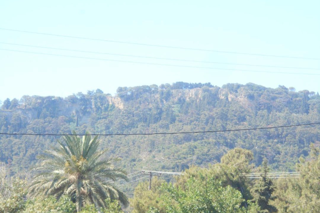 Photo of Others in Ialyssos