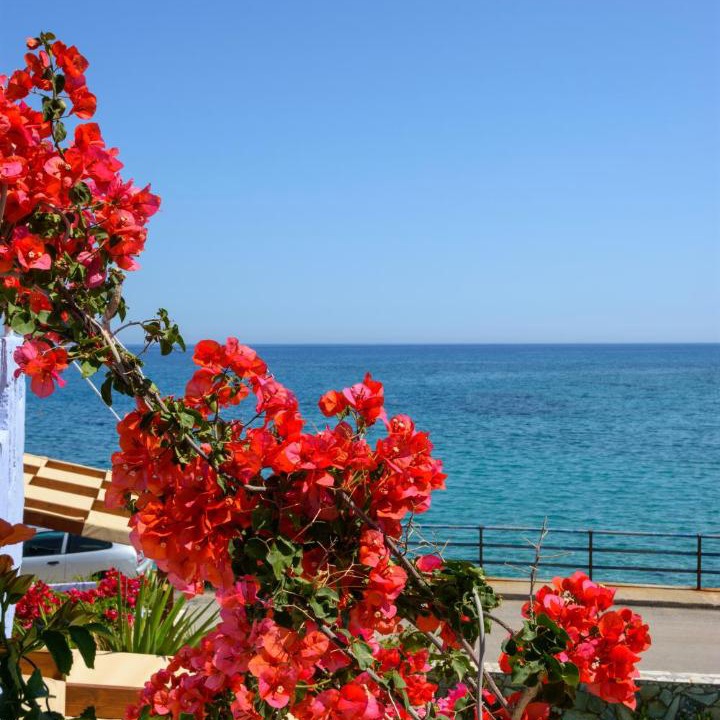 Photo of Others in Milatos Beach