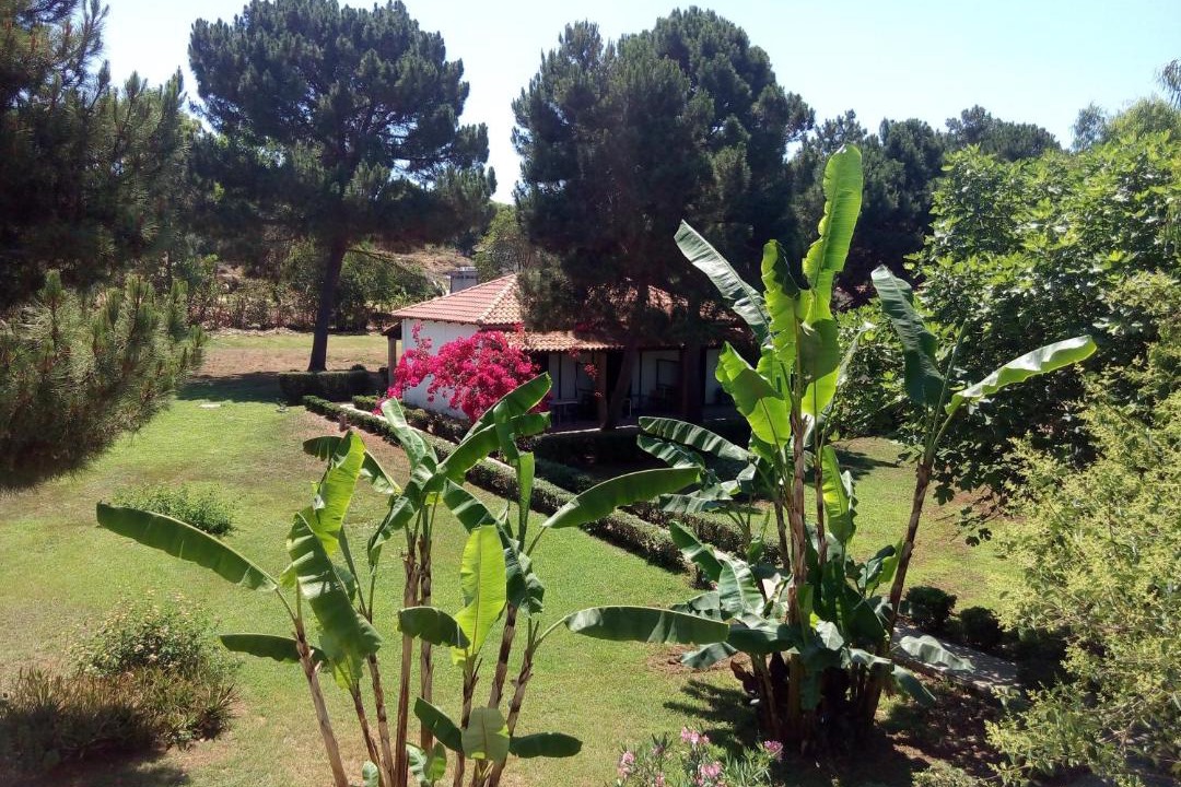 Photo of Others in Pineios
