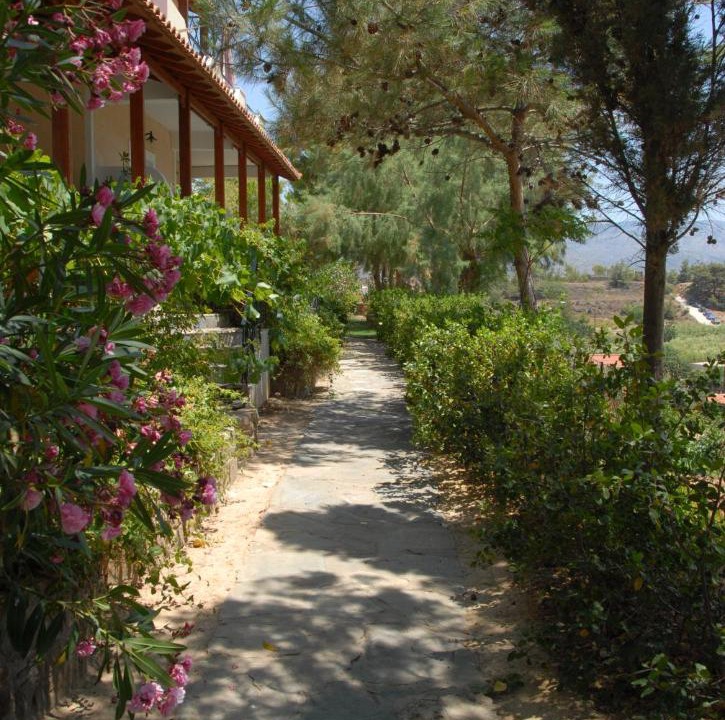 Photo of Others in Limnos