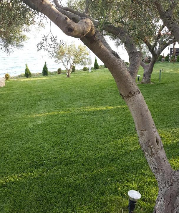 Photo of Others in Kassandra