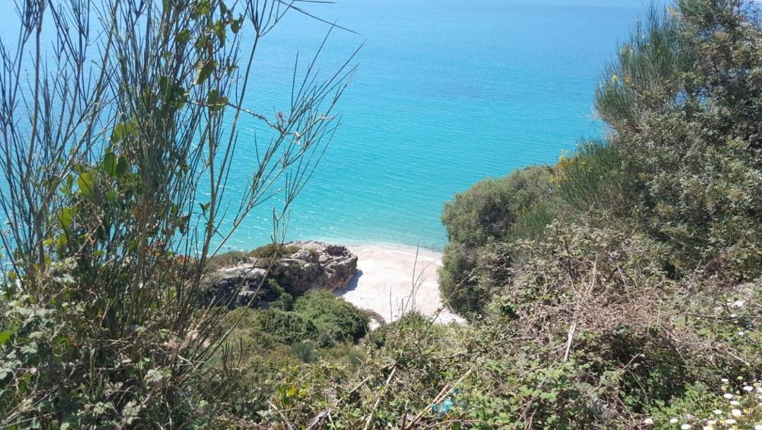 Photo of Others in Himare