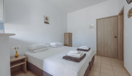 Basic Apartment