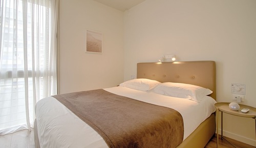 Basic Apartment, 1 Queen Bed with Sofa bed