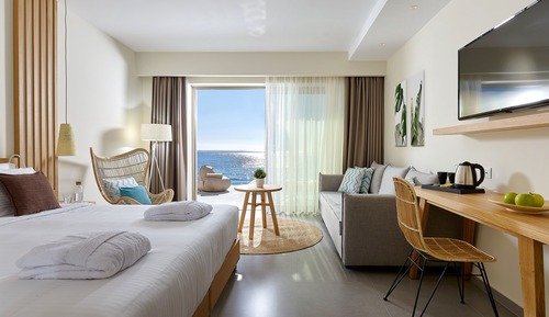 Superior Room (Individual Pool)