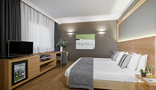 Superior Single Room