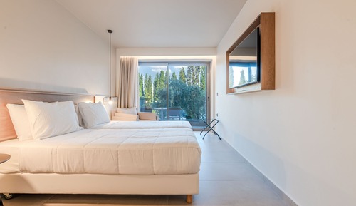 Premium Triple Room with Garden View
