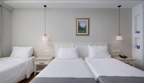 Triple Room, Mountain View