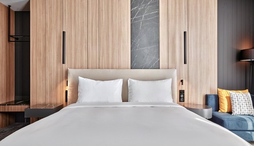 Standard Room, 1 King Bed with Sofa bed