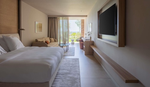 Junior Room, 1 King Bed with Sofa bed