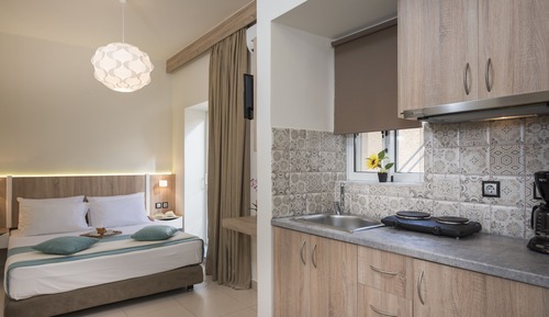 Basic Studio, 1 Double Bed