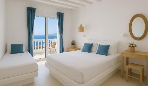 Deluxe Double or Twin Room