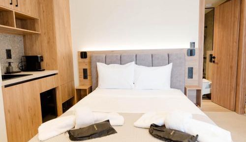 Double Room with Patio