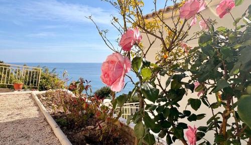 Deluxe Double Room with Sea View