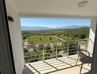 Double Room with Mountain View