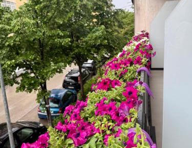 Superior Double or Twin Room with City View