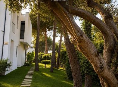 Superior Villa