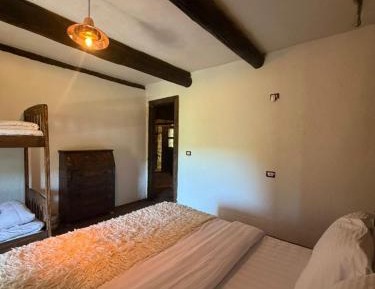 Bed in 6-Bed Dormitory Room
